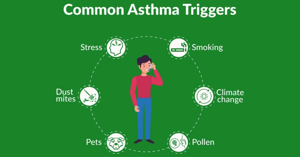 What Is the Root Cause of Asthma?